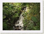 0973-Eden Project Tropical Area * 800 x 600 * (129KB)